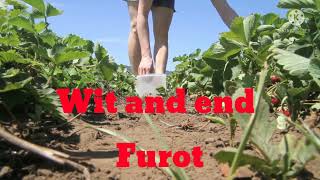 Haw To Fud Blogs Short Video