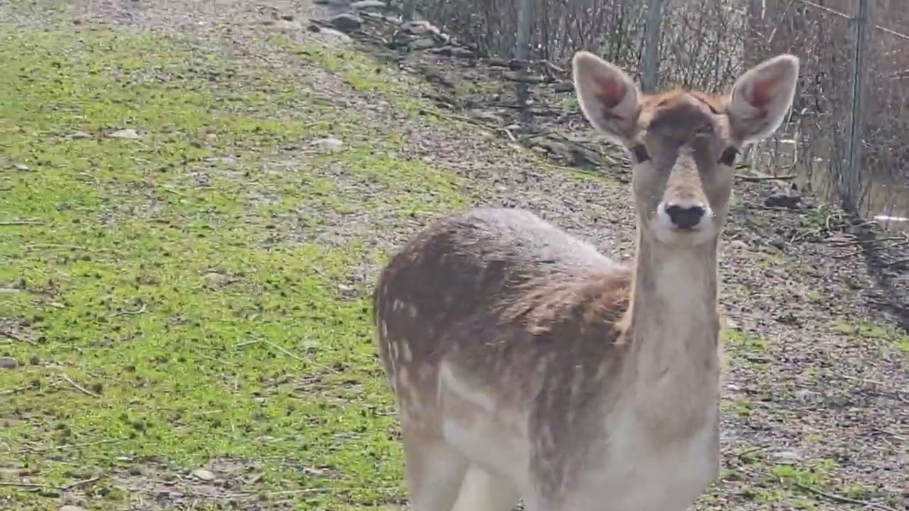 Gölya tabiat parkı