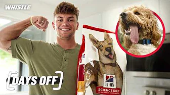Cooper DeJean Is Football’s #1 Dog Dad?! 🐾🏈