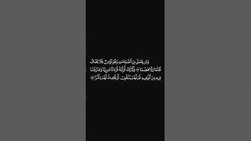 الشيخ ياسر الدوسري سورة طه