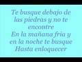 Miniature de la vidéo de la chanson Te Busqué (Spanish Version)