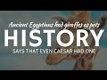Giraffes as Pets &amp; Fun History of Camelopard