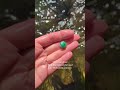 Tiny treasures found in a river...#mudlarking #riverfinds #treasurehunting
