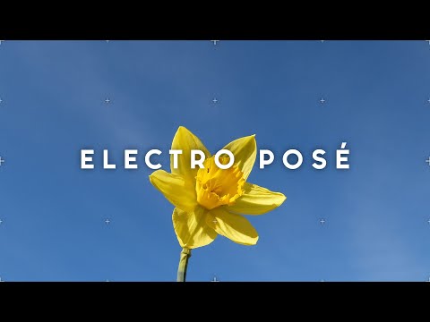 Jean Tonique, warner case - daffodil