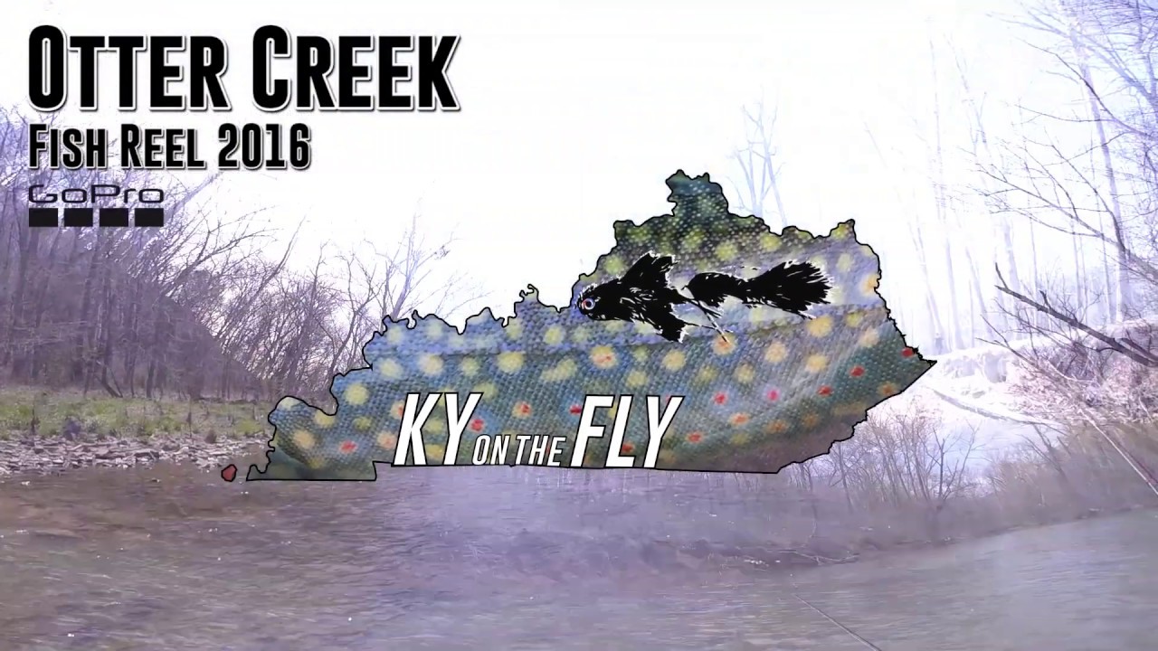 Fly Fishing Otter Creek 1 YouTube