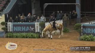 XTRA NEW PAL VOODOO Prova de Rédeas