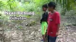 Grebek Bocil Yg Lagi Mencari Rebung Di Hutan