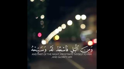 أكتب  شيء  تؤجر  عليه♥️ بدون حقوق قرآن كريم | حالات واتس اب