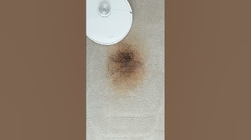 Roborock S8 MaxV Ultra: Vacuum Mop Review! #shorts