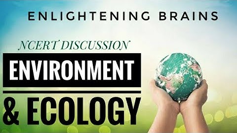 EVS NCERT chapter wise-Discussion-1 | CLASS 3| EVS NCERT SUMMARY FOR CTET/TETs