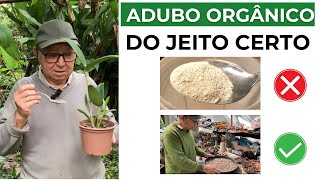 AULÃO: Como usar ADUBO ORGÂNICO nas ORQUÍDEAS - MASUJI KAYASIMA