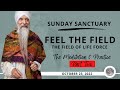 Sunday sanctuary  part two  feel the field the meditation  practice