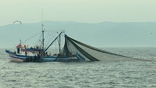 Seminário debate fortalecimento da colônia de pescadores