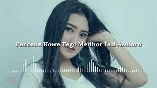 Nella Kharisma  Ditinggal Rabi lirik Lagu