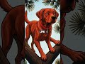 Dog Thinks He's a Squirrel - Climbs Tree Like a Pro While Pugs Hilariously Fail