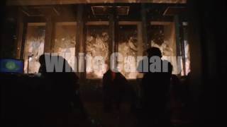 Sara Lance/White Canary - Teaser