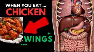 Your Body on Chicken Wings | Complete 3D Digestive Journey Fat Content In Chicken Wings