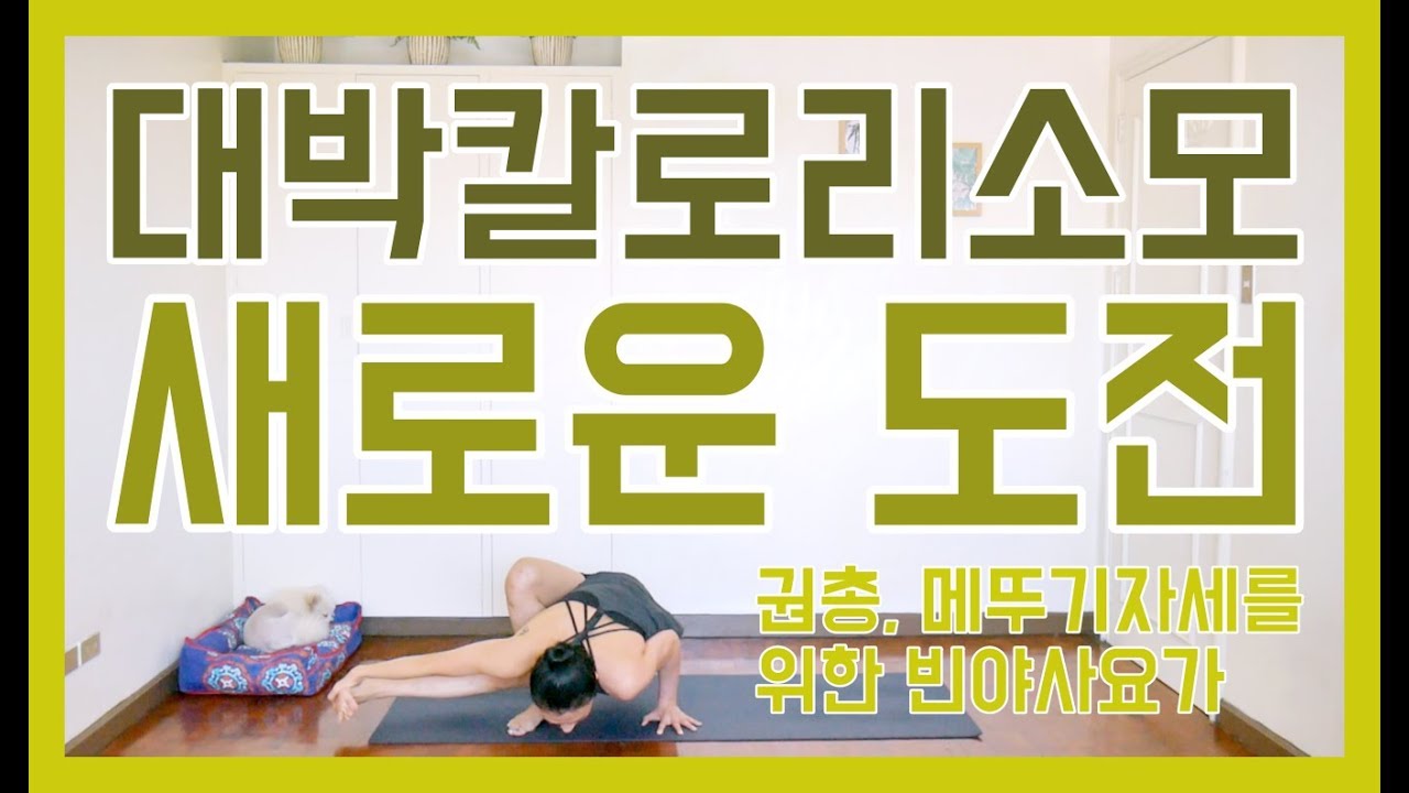 [EVA YOGA]대박 칼로리 소모/새로운 도전/권총자세, 메뚜기자세를 위한 빈야사요가