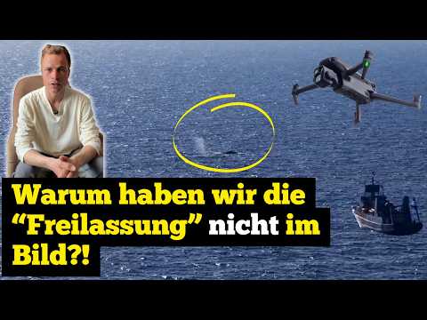 YouTube-Thumbnail: Warum haben wir die Freilassung nicht im Bild?