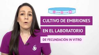 Cultivo de embriones en el laboratorio de fecundación in vitro (FIV)