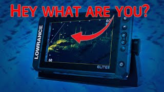Using Forward Facing Sonar to Judging Fish Species