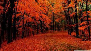 Laszlo - Fall To Light | 3 HOURS