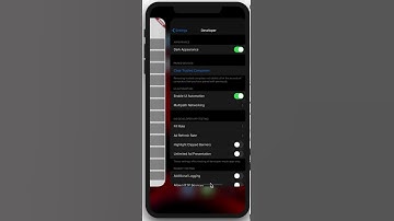 flutter set dartTheme  result