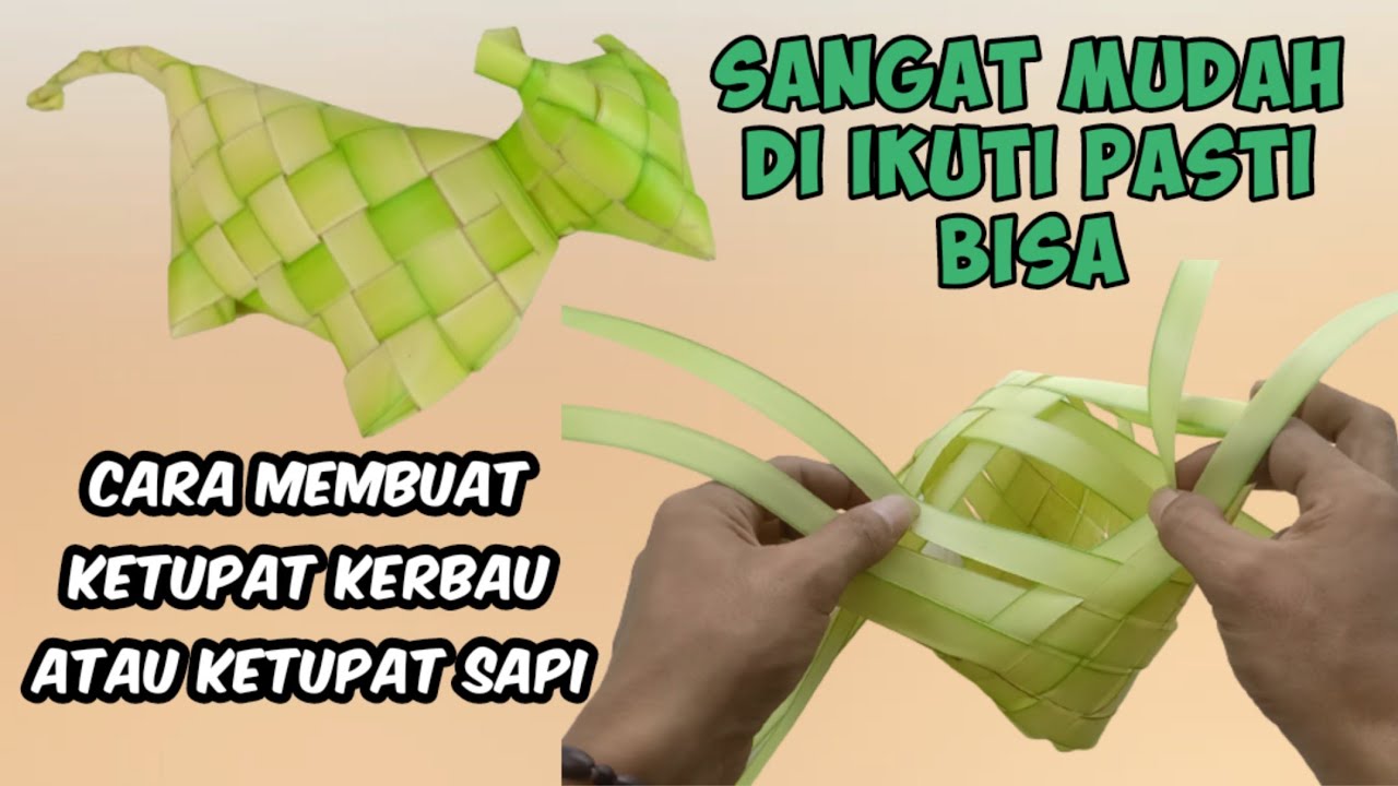 Membuat ketupat kerbau/ Nasuki titik terang