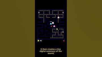 This App Knows Any Song Instantly… Here