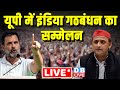   india alliance    loksabha election  akhilesh yadav  rahul gandhi  dblive