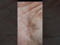         8951568344   