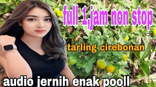Download Lagu FULL 1,JAM NON STOP TARLING CIREBONAN BASS ENAK POOLL MP3 Download Lagu FULL 1,JAM NON STOP TARLING CIREBONAN BASS ENAK POOLL MP3