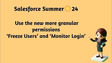 Salesforce Summer ☀️ 24 - Use the new more granular permissions‘Freeze Users’ and ‘Monitor Login’