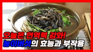 [면역력 강화] 능이버섯의 효능과 부작용 👨‍⚕️건강정보 나눔TV (면역력 높이는 음식, 면역력 높이는 법, 능이버섯 차)