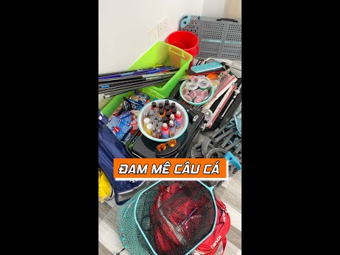 ĐAM MÊ CÂU CÁ CHÍNH LÀ VẬY ĐÓ | VIETNAM FISHING TV