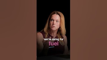 What does progesterone actually do in your cycle?