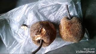 কাঁঠাল এর আরেক জাত, চাম কাঁঠাল / বন কাঁঠাল