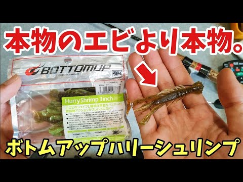 ボトムアップで人気ないけどハリーシュリンプは名作だと思います【バス