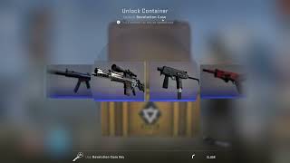 CS:GO | Random Revolution Case Opening #12
