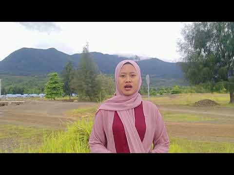 Video: Pohon Dan Semak Hias Di Negara Ini