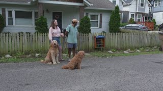 Nashville couple creates 'doggie stick library' for TN pups