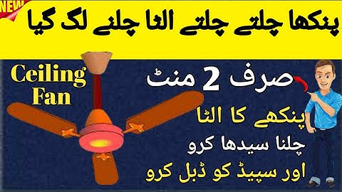 Fixing Ceiling Fan Anti- Clockwise Rotation Problem: A Step- by- Step Solution