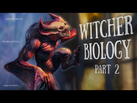 Witcher Biology (Part Two) - Ad-Free