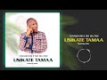 Usikate Tamaa GWANDUMI Ft Sir MLOWE Official Audio Usikate Tamaa GWANDUMI Ft Sir MLOWE Official Audio
