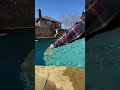 How To Add Liquid Chlorine To A Swimming Pool Outdoorpool Entrepreneur Swimpool How To Add Liquid Chlorine To A Swimming Pool Outdoorpool Entrepreneur Swimpool