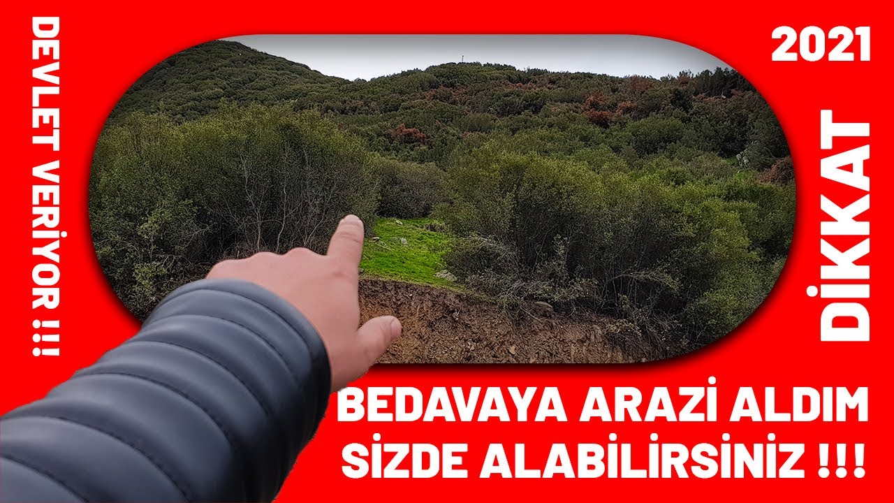 DEVLET BANA BEDAVAYA ARAZİ VERDİ !!! | SİZDE ALABİLİRSİNİZ |  YAPMANIZ GEREKENLER ? Köyde Yaşam | tr