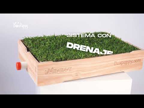 🎬 Video relacionado con cajas para perros