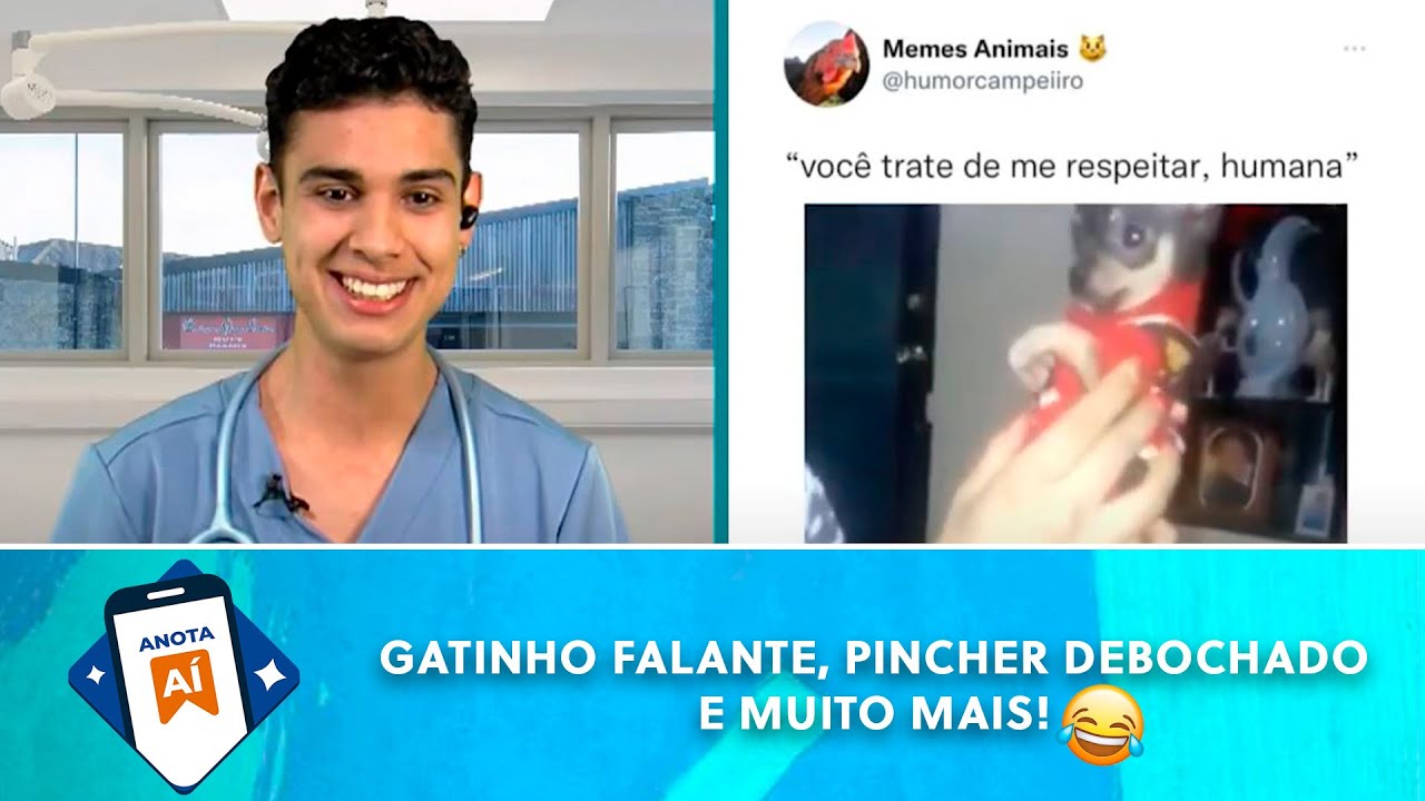 Olá seja muito bem vindo ao Mundo Pet Feliz Oficial ! Nosso maior objetivo  é reunir as Famílias e mostrar vídeos engraçados de animais… [Video]