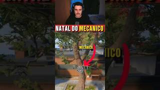 Camuflei Uma Calota Em Uma Arvore