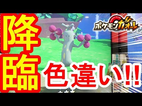 色 違い 確率 ポケモン